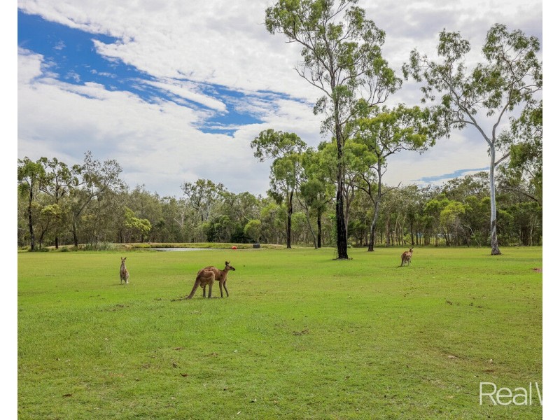 360 Innamincka Way, Agnes Water QLD 4677