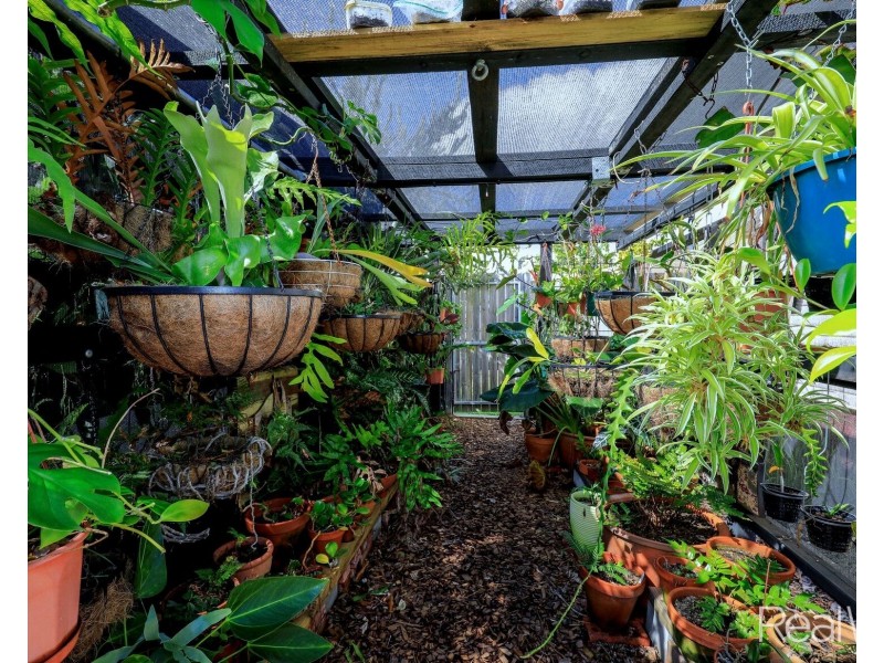 65 Burnett Street, Bundaberg South QLD 4670