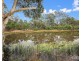 63 Petersens Road, Yandaran QLD 4673
