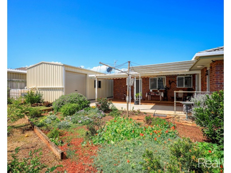 19 Amaroo Crescent, Innes Park QLD 4670