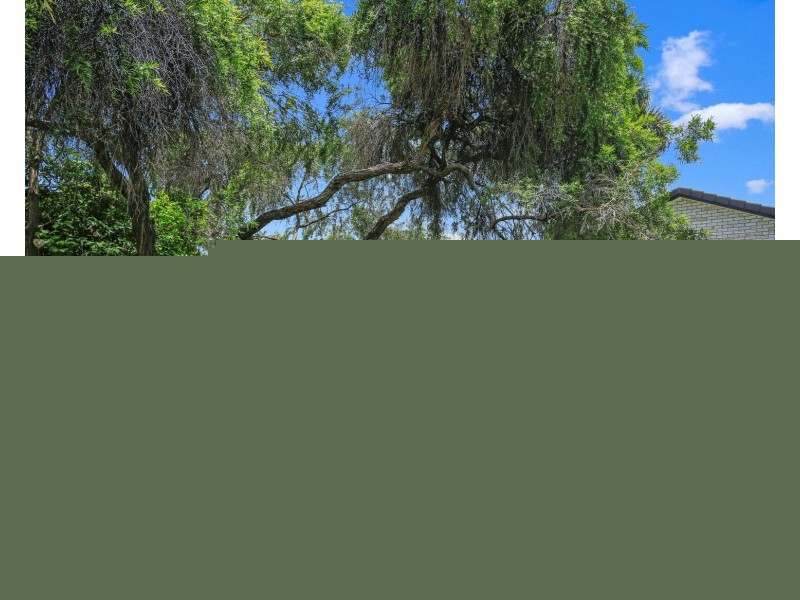 50 Tropicana Drive, Avoca QLD 4670