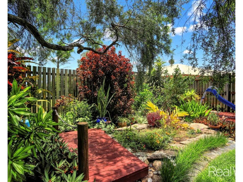 50 Tropicana Drive, Avoca QLD 4670