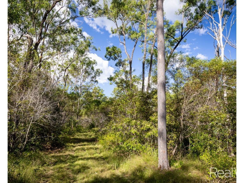 2 Jacksons Road, South Isis QLD 4660