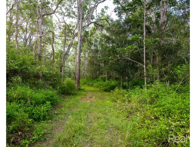 2 Jacksons Road, South Isis QLD 4660