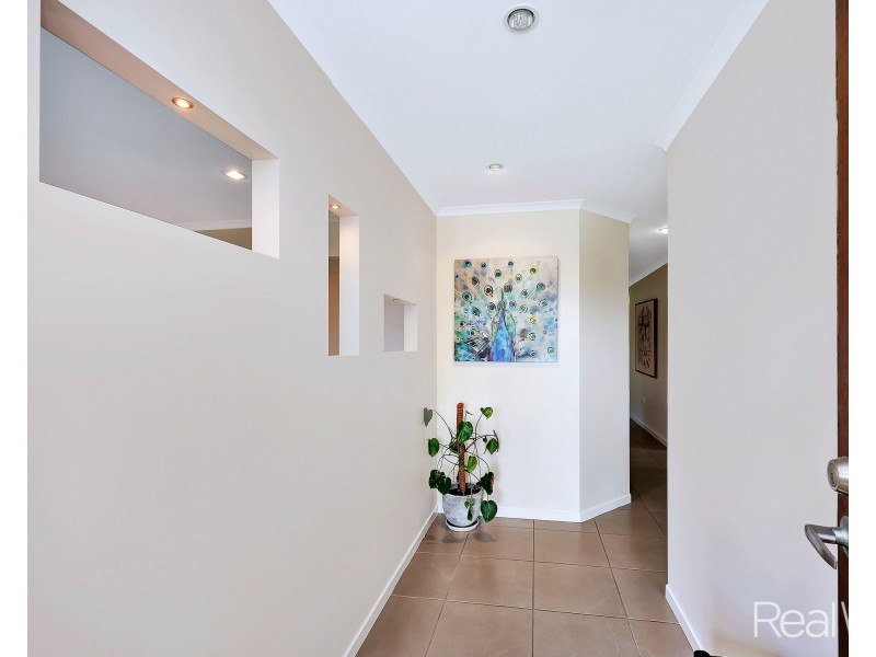 40 Greathead Road, Ashfield QLD 4670