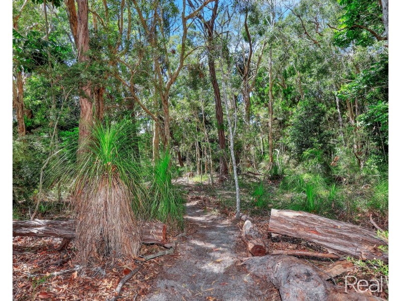 101 Davenport Drive, Coonarr QLD 4670