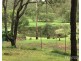 103 Mooney Road, Gaeta QLD 4671