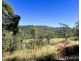 103 Mooney Road, Gaeta QLD 4671