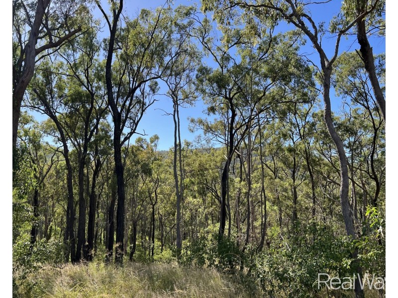 103 Mooney Road, Gaeta QLD 4671