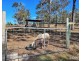 14 Woods Road, Sharon QLD 4670