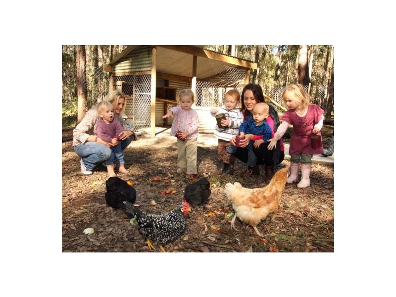 139 Metz Road, Old Bar NSW 2430