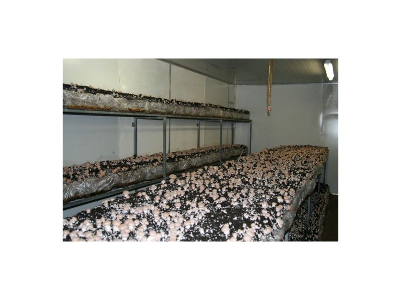 71 Bonvale Close, Rainbow Flat NSW 2430