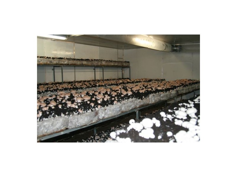 71 Bonvale Close, Rainbow Flat NSW 2430