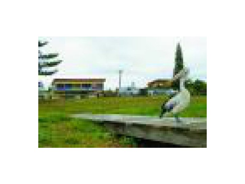 97 Main Street, Mitchells Island NSW 2430