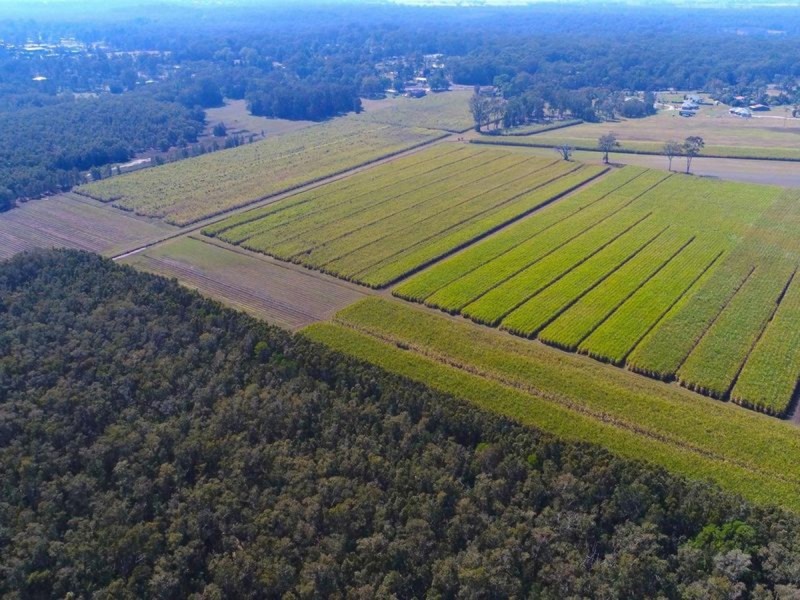 308 Brooms Head Road, Gulmarrad NSW 2463