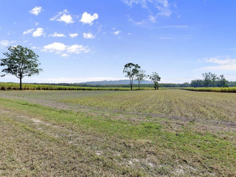 308 Brooms Head Road, Gulmarrad NSW 2463