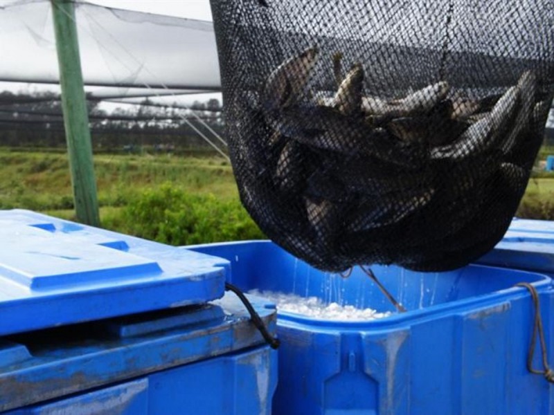 Lot 65 Mcdermids Road, Palmers Island NSW 2463