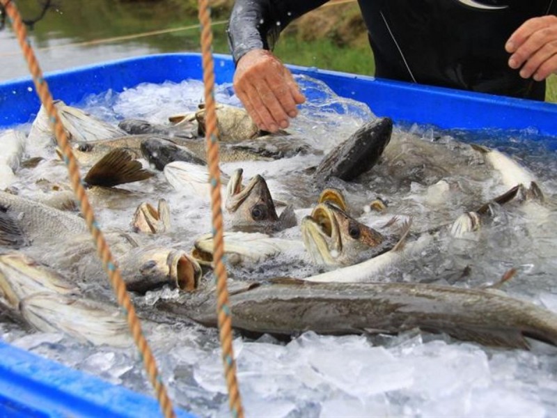 Lot 65 Mcdermids Road, Palmers Island NSW 2463