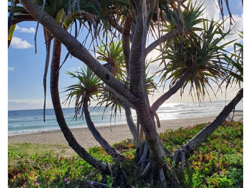 204/22 Carrs Drive, Yamba NSW 2464