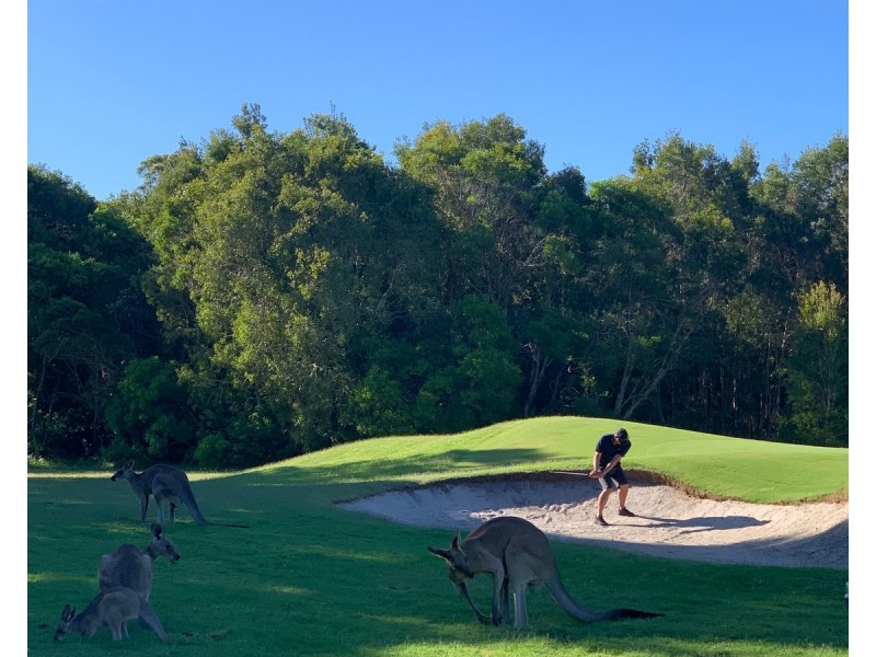 206/22 Carrs Drive, Yamba NSW 2464