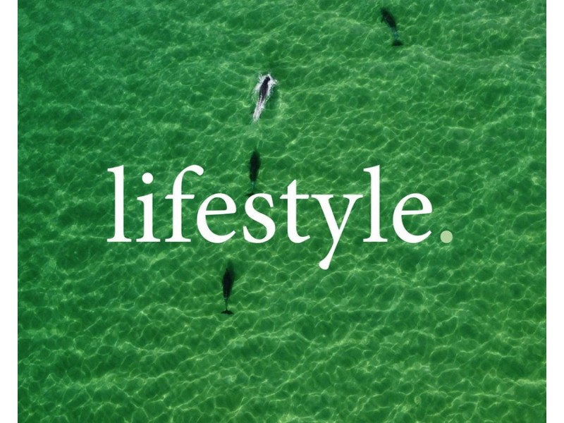 253/22 Carrs Drive, Yamba NSW 2464