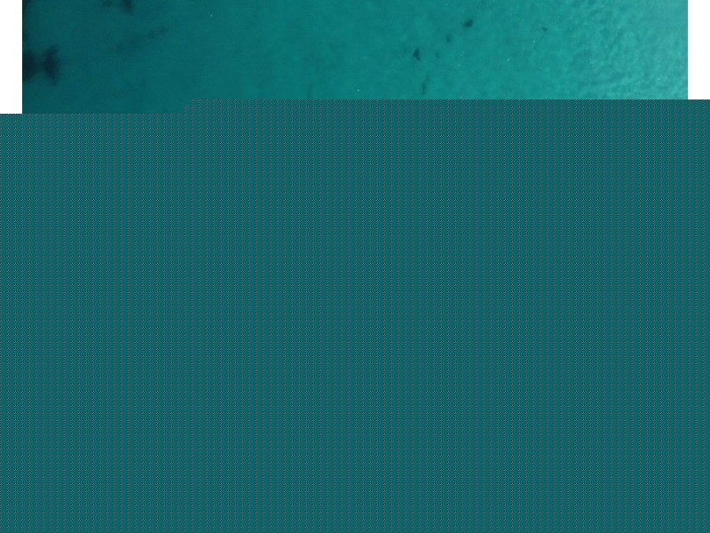 254/22 Carrs Drive, Yamba NSW 2464