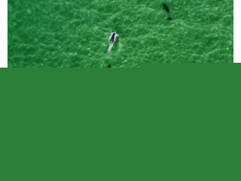 212/22 Carrs Drive, Yamba NSW 2464