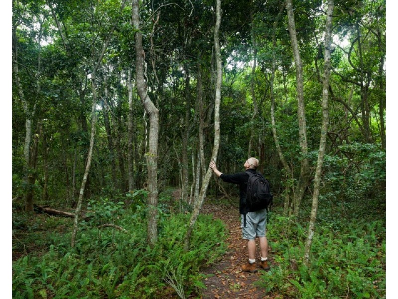 7/7 Gargle Circuit, Iluka NSW 2466