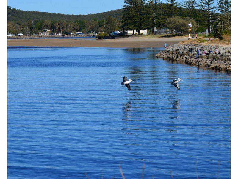 237/22 Carrs Drive, Yamba NSW 2464