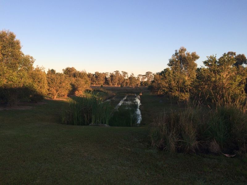 5 Kakadu Court, Little Mountain QLD 4551