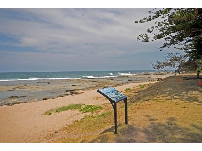 Shelly Beach QLD 4551