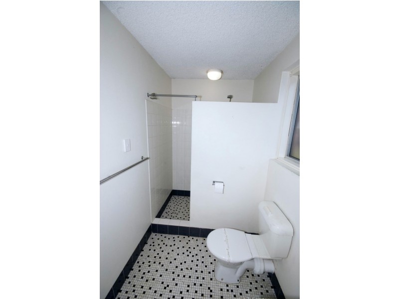 Shelly Beach QLD 4551