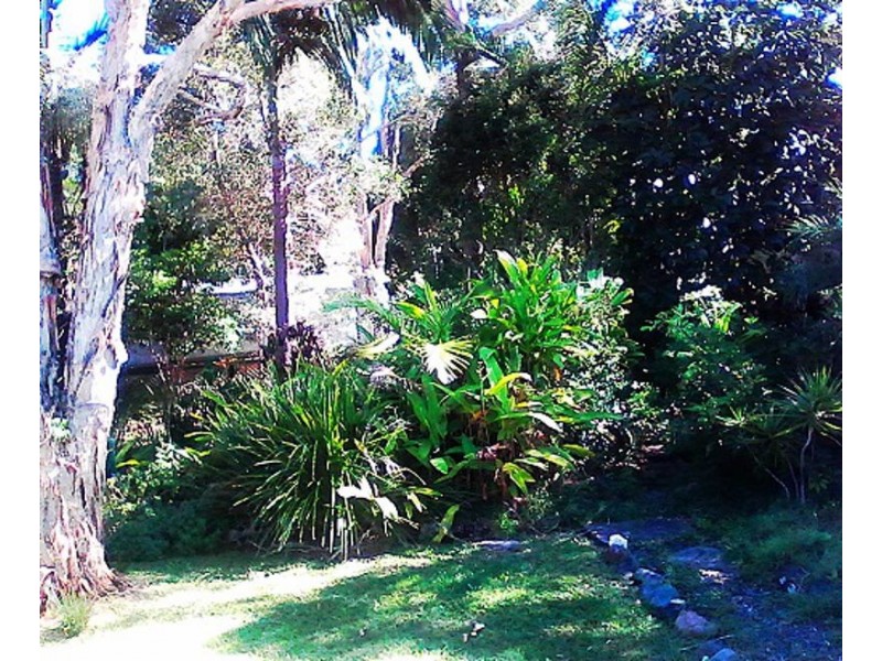 14 Ulm Street, Dicky Beach QLD 4551