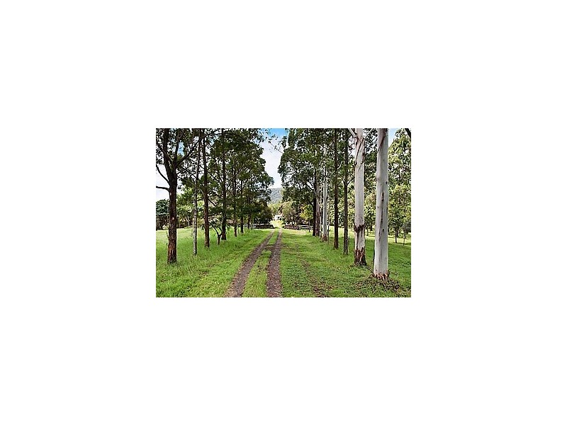 290 Back Road, Lismore NSW 2480