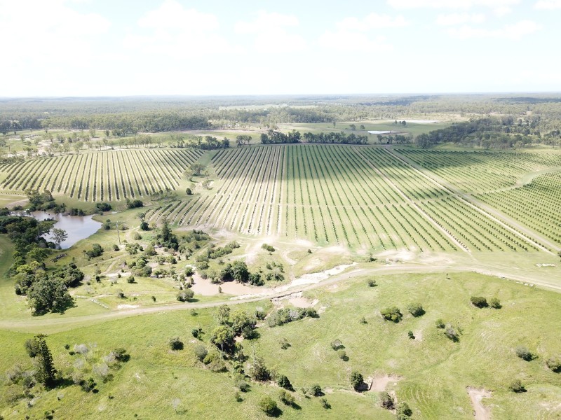 576 North Bucca Road, Bucca QLD 4670