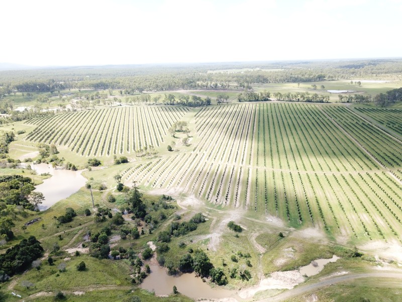 576 North Bucca Road, Bucca QLD 4670