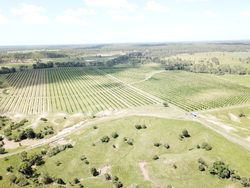 576 North Bucca Road, Bucca QLD 4670