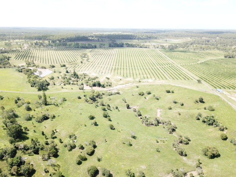 576 North Bucca Road, Bucca QLD 4670