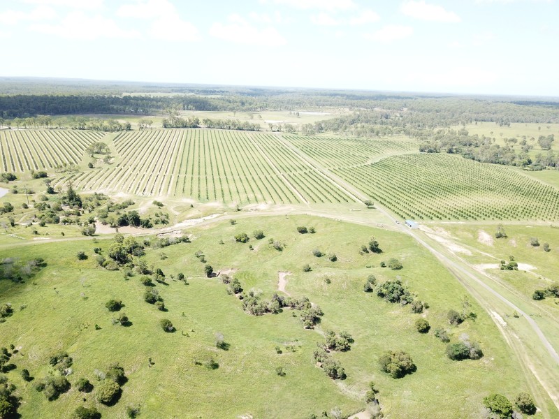 576 North Bucca Road, Bucca QLD 4670