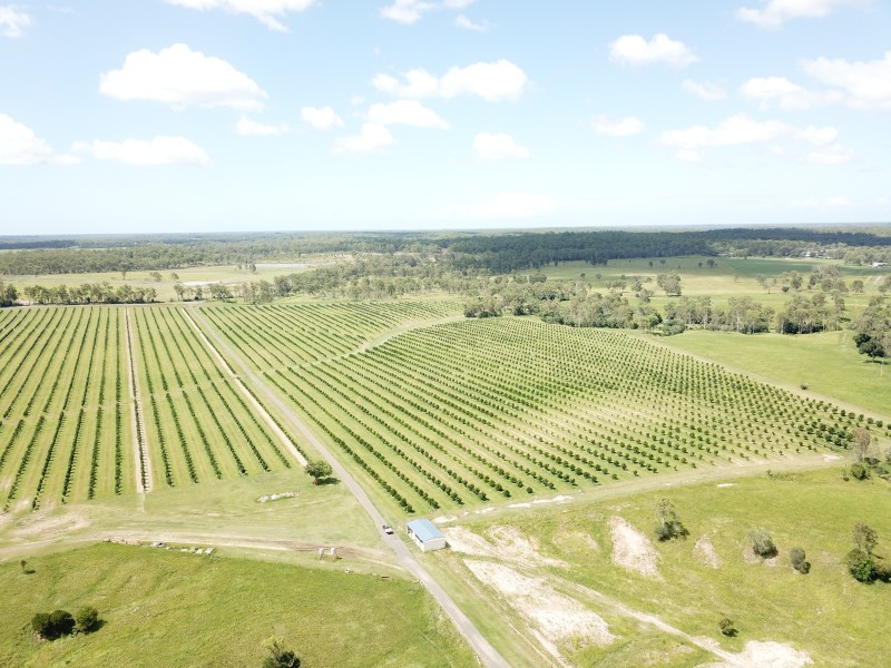 576 North Bucca Road, Bucca QLD 4670