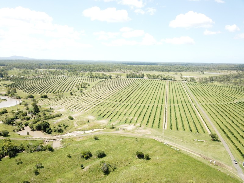 576 North Bucca Road, Bucca QLD 4670