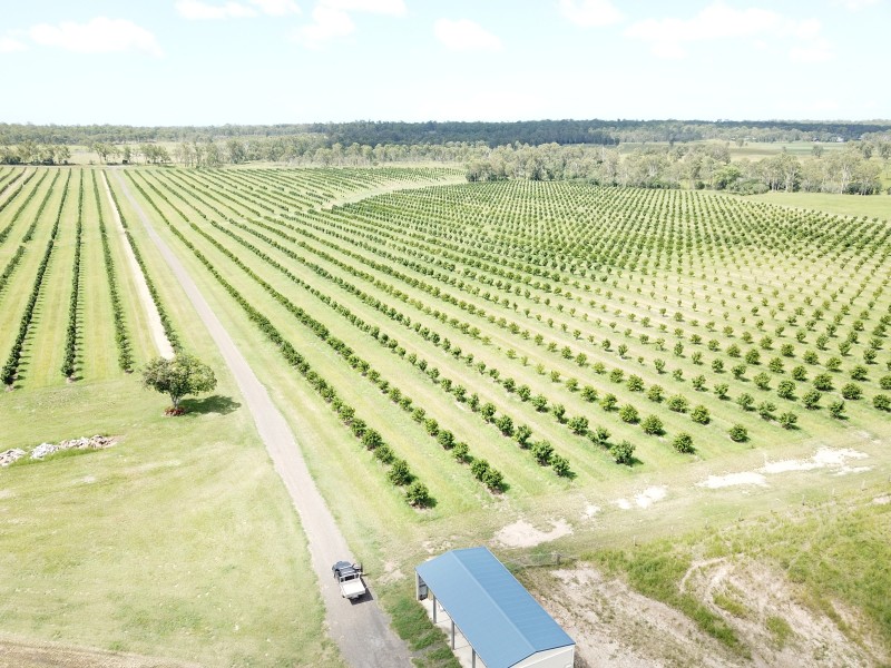 576 North Bucca Road, Bucca QLD 4670