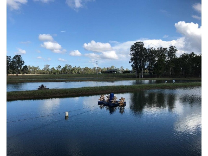 409 Webbs Road, Abington QLD 4660