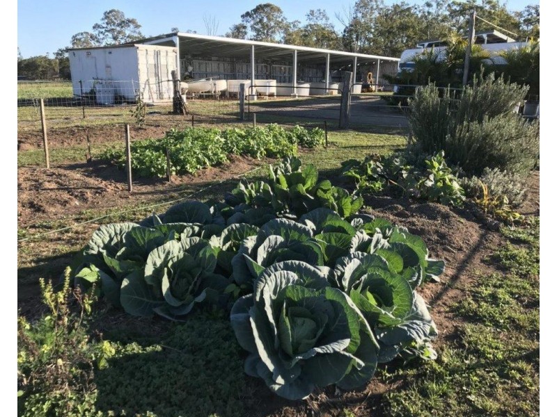 409 Webbs Road, Abington QLD 4660