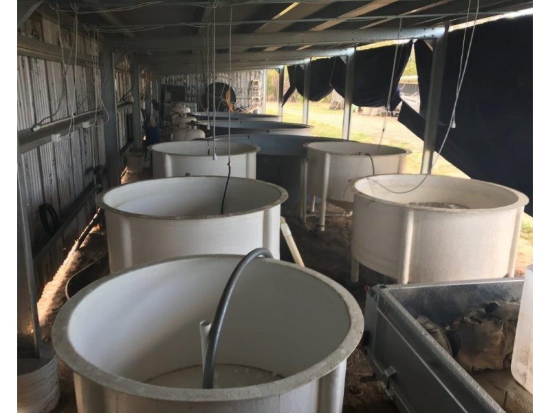 409 Webbs Road, Abington QLD 4660