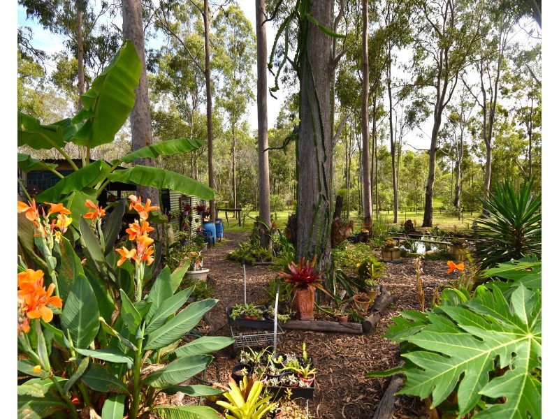 236 Stockyard Road, North Isis QLD 4660