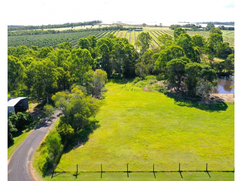 Lot 196 Jacksons Rd, South Isis QLD 4660
