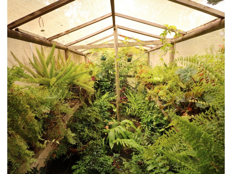 22 Andersen Street, Apple Tree Creek QLD 4660