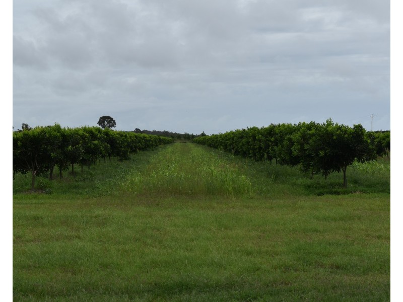 Welcome Creek QLD 4670