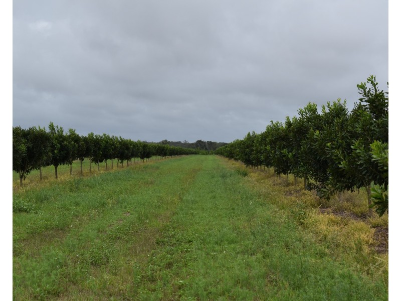 Welcome Creek QLD 4670